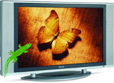 tv_005