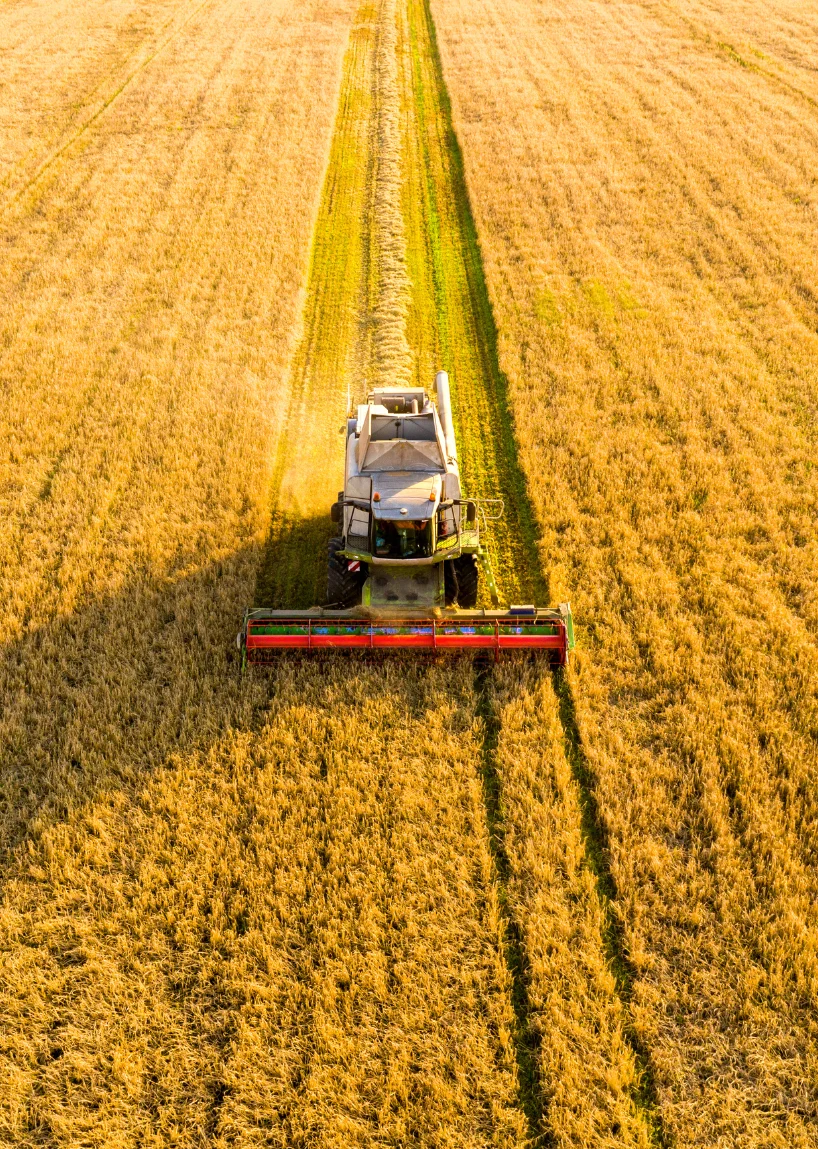 Evsud Agricultural 
